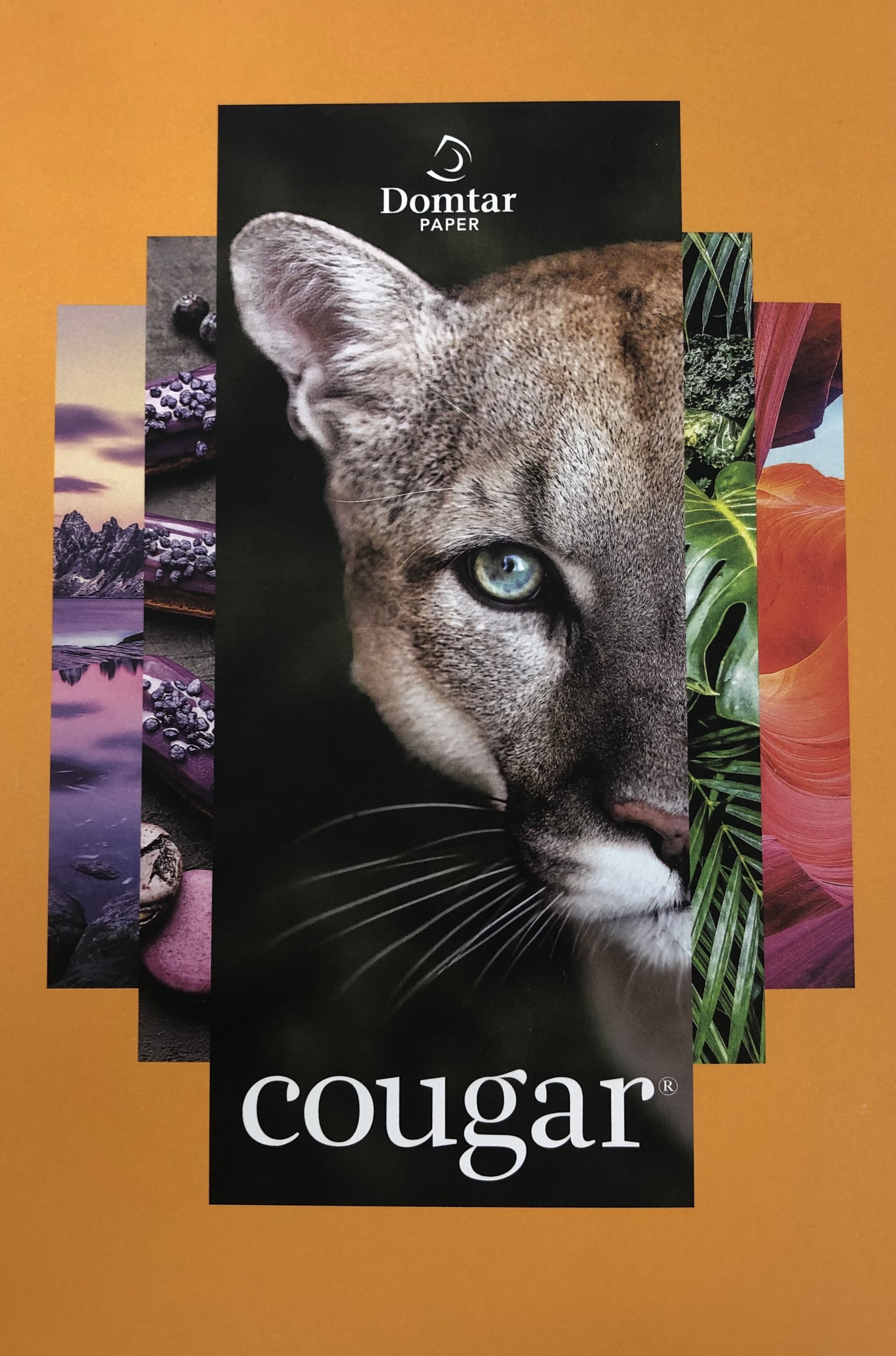 Cougar SUPER Smooth WHITE Digital Color Copy - 11X17 Paper - 32
